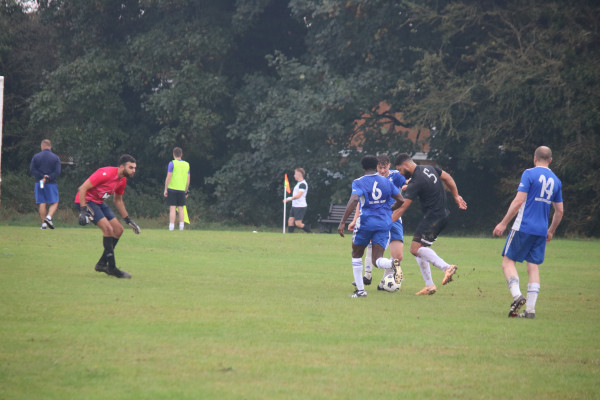 IMG_5482.JPG