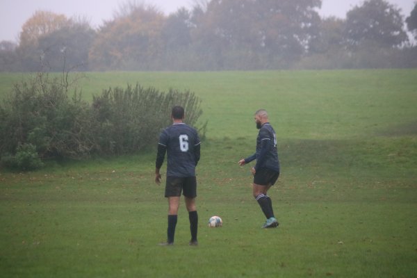 IMG_8185.JPG