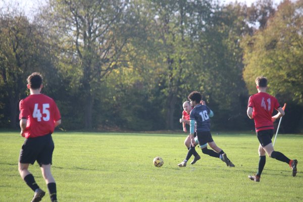 IMG_8219.JPG