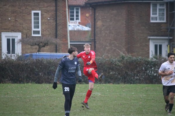 IMG_8482.jpg
