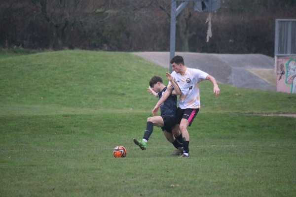 IMG_8533.jpg