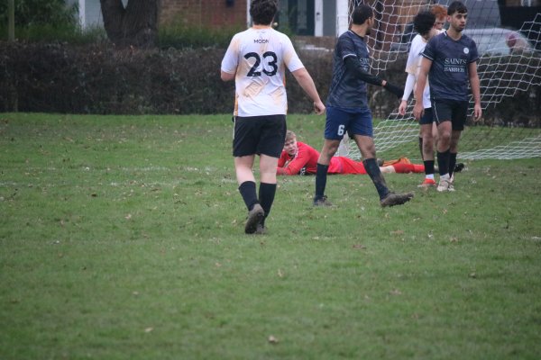 IMG_8539.jpg
