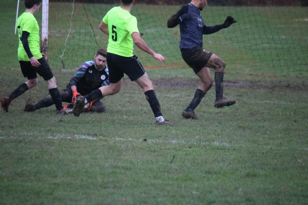 IMG_8784.jpg