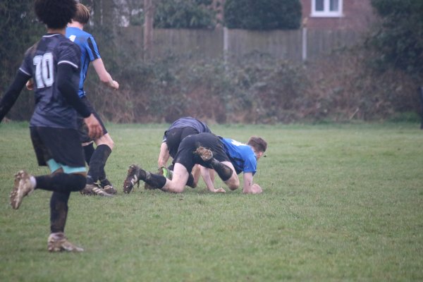 IMG_9520.JPG