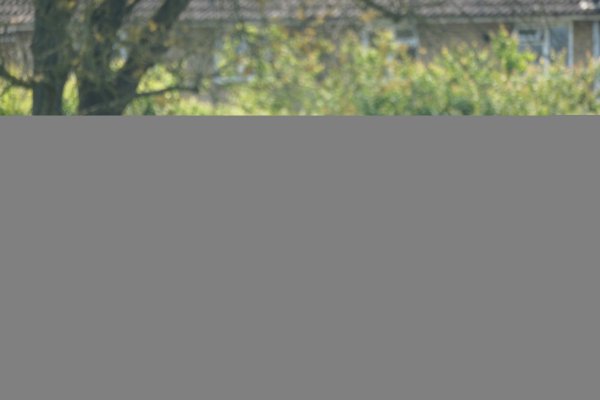 SAINTSFC_XT5_-069.jpg